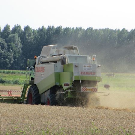 B&B Boerderij Wijtvliet Langeweg Eksteriør bilde