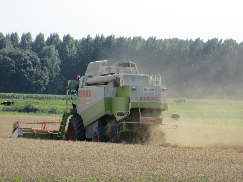 B&B Boerderij Wijtvliet Langeweg Eksteriør bilde